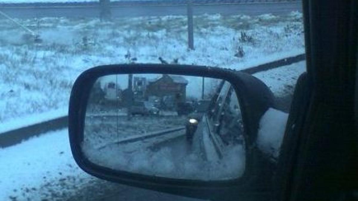 imaginea din romania pe care nu o veti mai vedea nicaieri altundeva ce face un dorel desi este