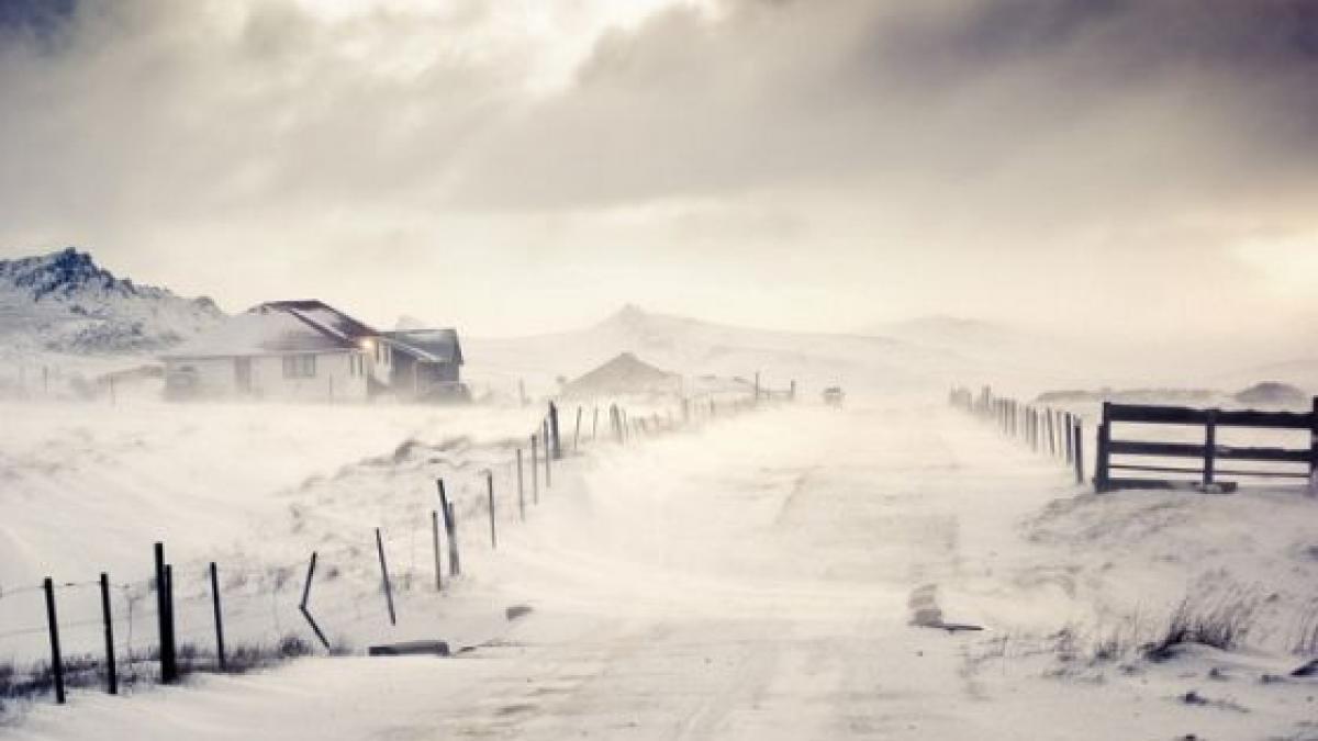 in barlad nu deszapezesc decat in zona oamenilor importanti asa am ajuns mesaje disperate primite
