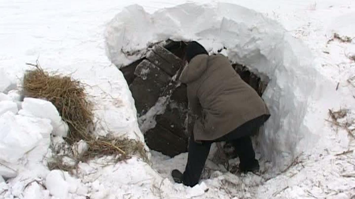de zile intregi sunt izolati de restul lumii si au izbucnit in lacrimi cand au primit o paine calda