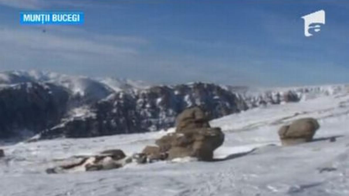 vreme neobisnuita la munte in statiuni a fost mai cald decat la campie