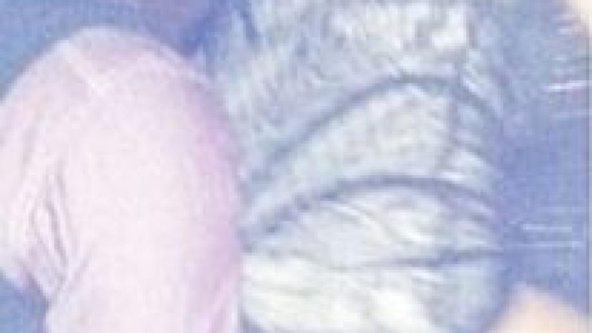 asa a inteles ea ca trebuie sa se distreze imaginea postata in ziua de craciun pe site ul unui club