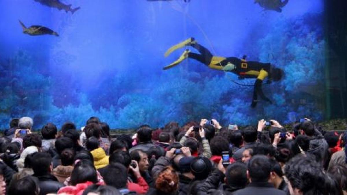 cel mai negru cosmar al iubitorilor de mall uri s a intamplat nu am fost niciodata mai speriat