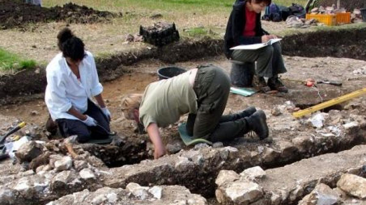 descoperire fara precedent in marea britanie este ceva cu adevarat uimitor unic