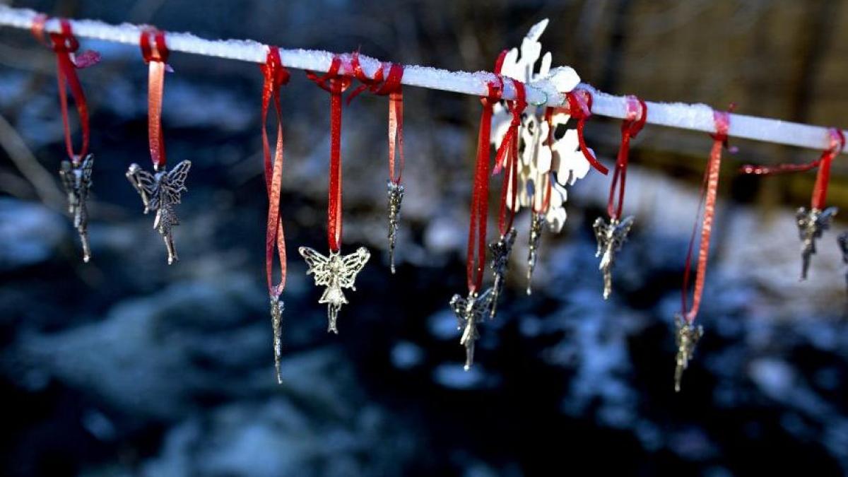 masacrul din newtown schimba perceptia americanilor despre siguranta in scoala aceasta solutie are