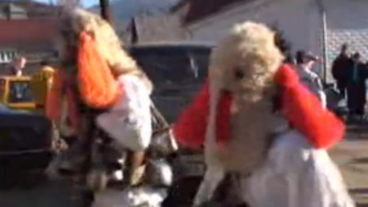 traditie cu scandal la baia sprie un sofer grabit a agresat un colindator