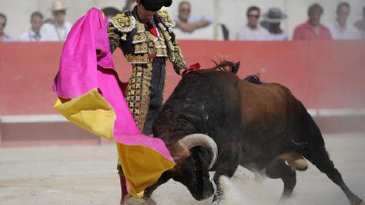 momente teribile pentru un toreador nimeni nu credea ca barbatul va scapa cu viata