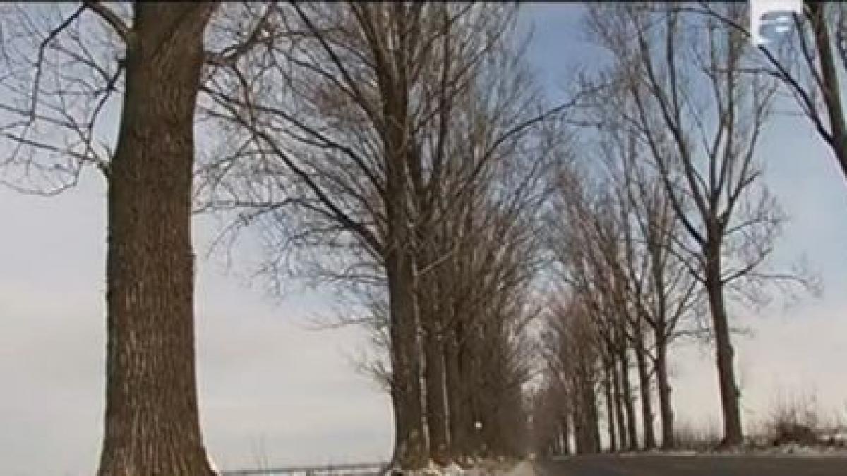 cele mai trasnite legi propuse de parlamentarii romani tara arde alesilor le pasa de orice altceva