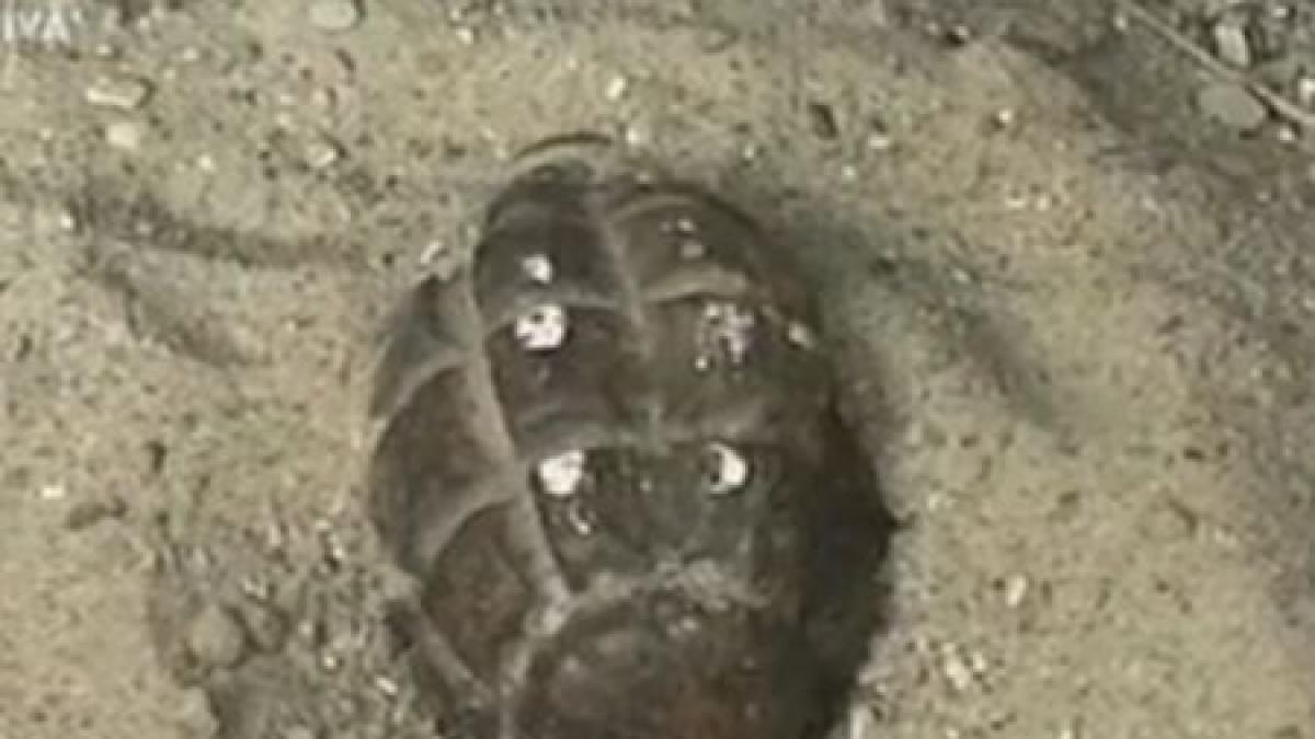 o grenada a fost descoperita in parcul tineretului din bucuresti