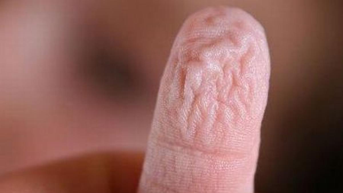 de ce ni se increteste pielea de pe degete sub apa afla explicatia oamenilor de stiinta