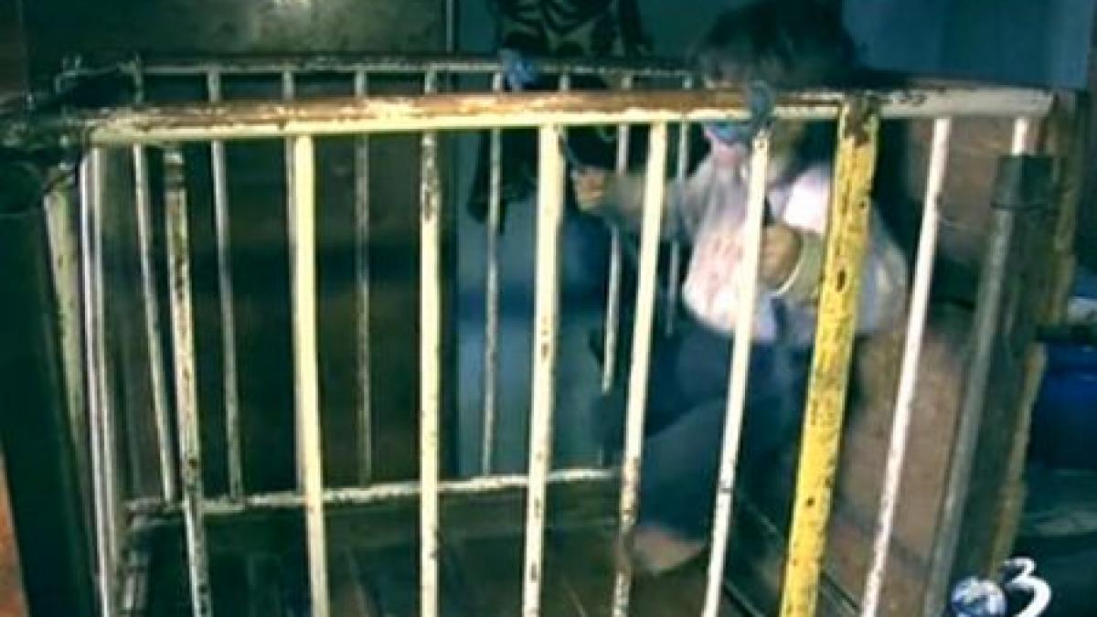 imagini socante copiii crescuti in custi de lemn