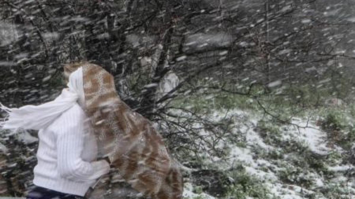 israelul a fost lovit de cea mai violenta furtuna de zapada din ultimii 20 de ani