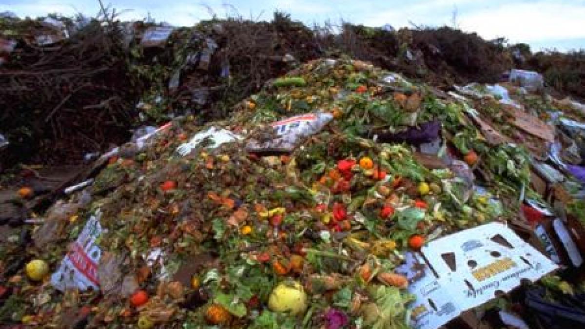 jumatate din mancarea de pe glob ajunge la gunoi consumam resurse importante degeaba