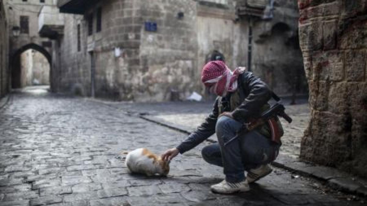 nu mi a venit inca vremea sa mor povestea incredibila de supravietuire a unui refugiat sirian