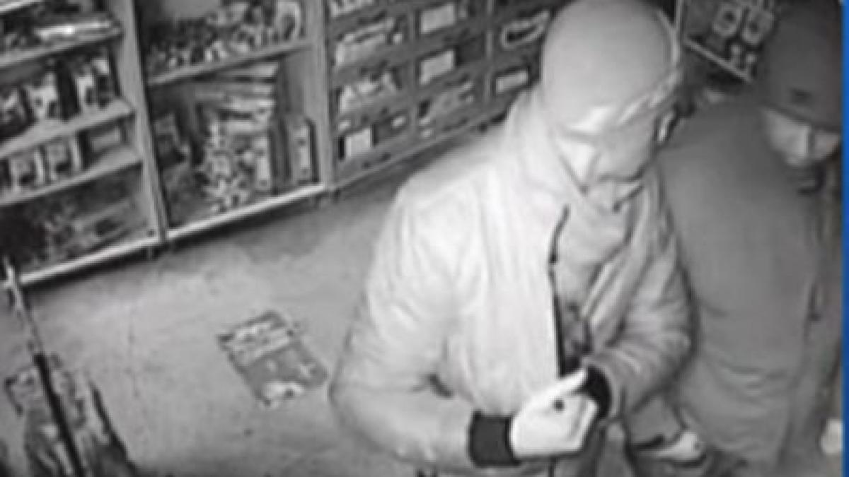 cum a ajuns un catel de buzunar in buzunarul hotilor din constanta