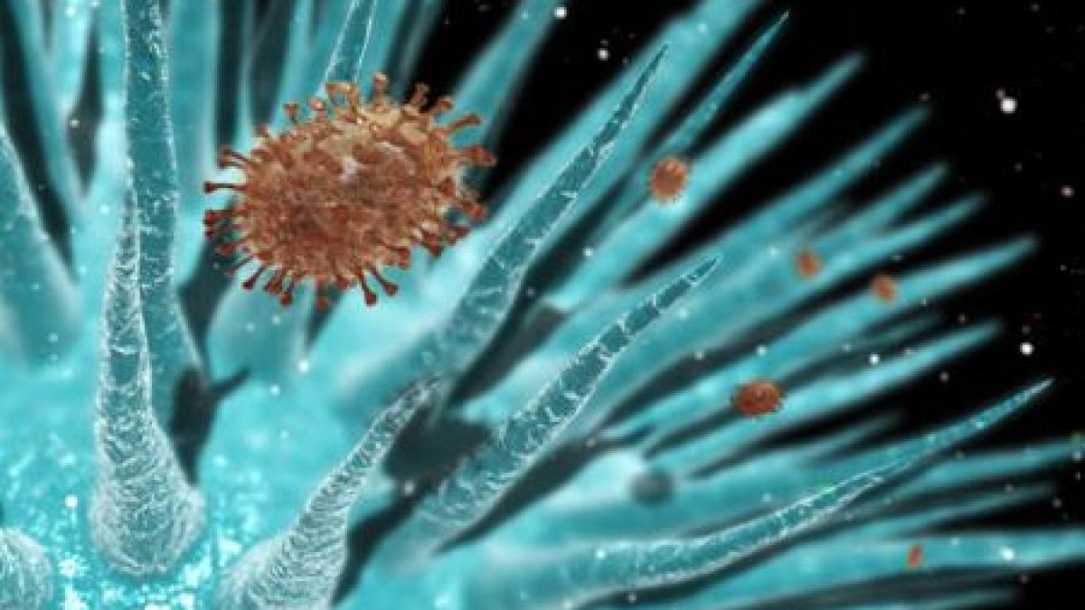 gripa sezoniera ajunge in romania cum va puteti proteja de virusul gripal