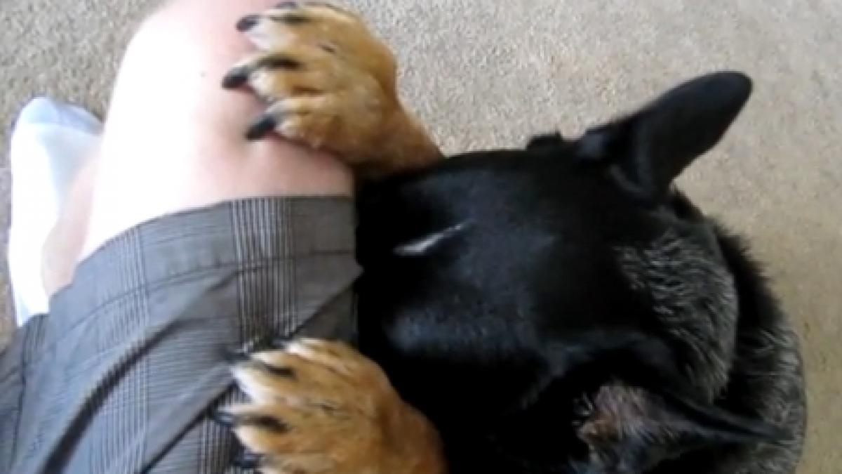 uneori animalele sunt mai presus decat oamenii inclusiv in lucrurile spirituale