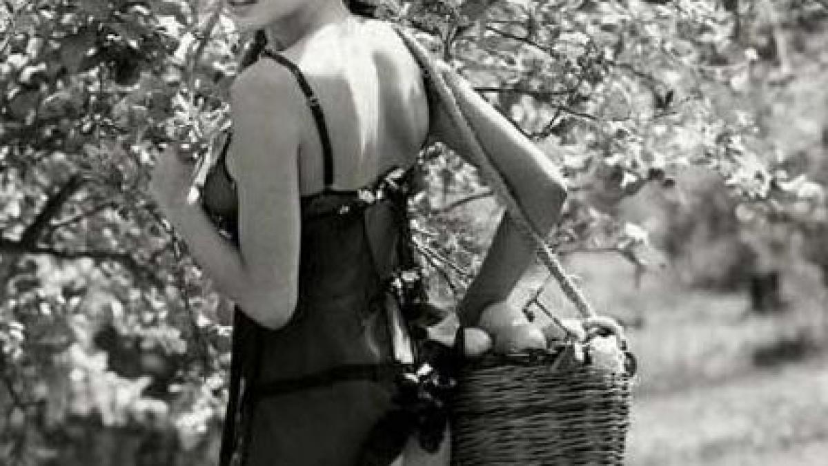 cel mai de succes serial american are in prim plan o romanca cine este superba bruneta