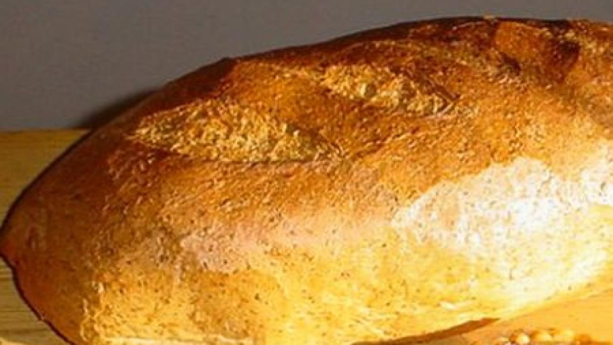 pretul painii ar putea sa scada in 2013 ce masura vrea sa implementeze guvernul ponta