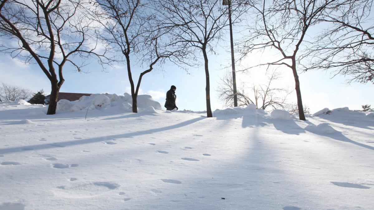 din aceasta dimineata de la ora 06 00 a intrat in vigoare codul galben de ninsori si viscol vezi ce
