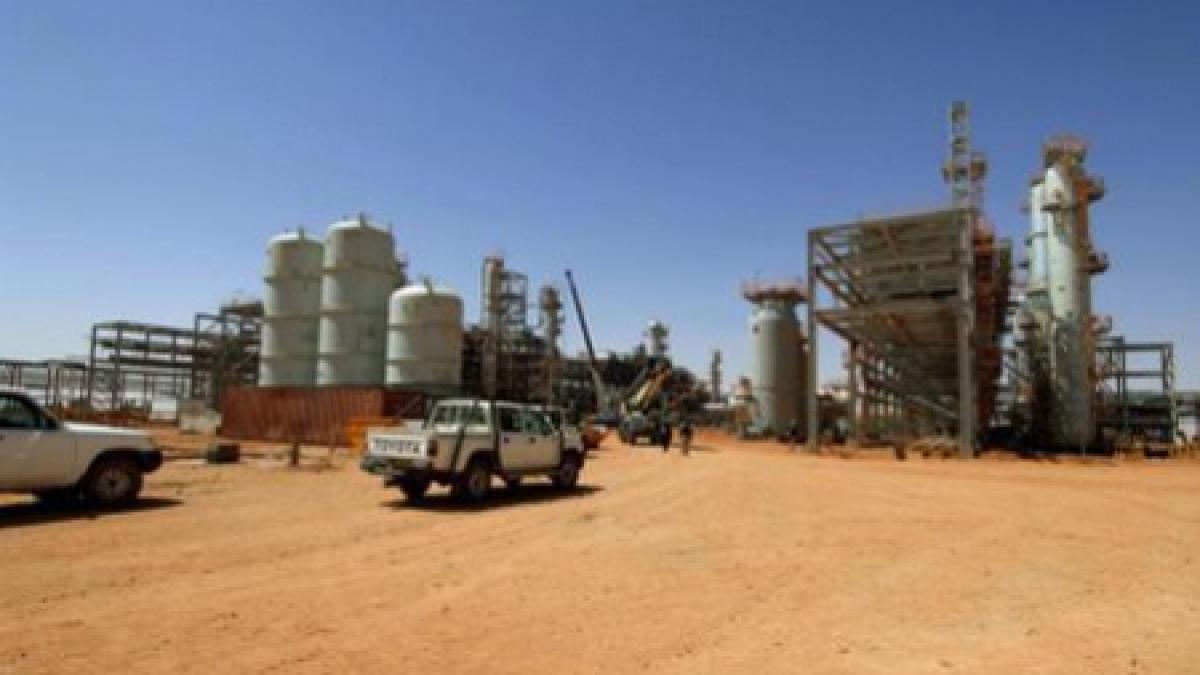 optsprezece teroristi au fost ucisi in timpul asaltului de joi de la in amenas