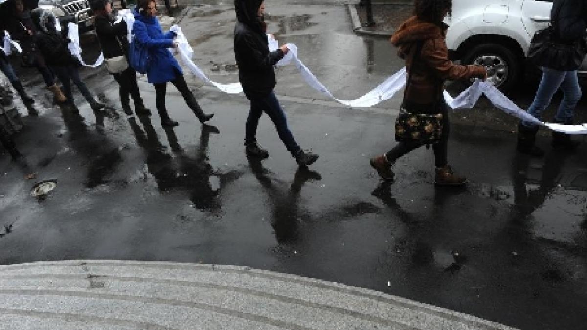 studentii romani au depus la guvern o petitie de peste 100 de metri