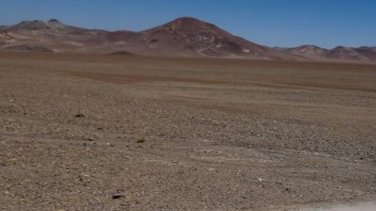 algeria un grup de ostatici a fugit de rapitori 15 ore in desert