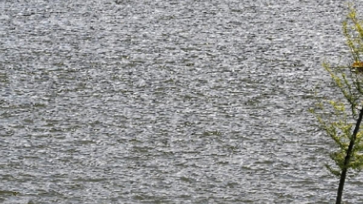 trupurile neinsufletite ale barbatilor care s au inecat in balta ialomitei au fot recuperate de