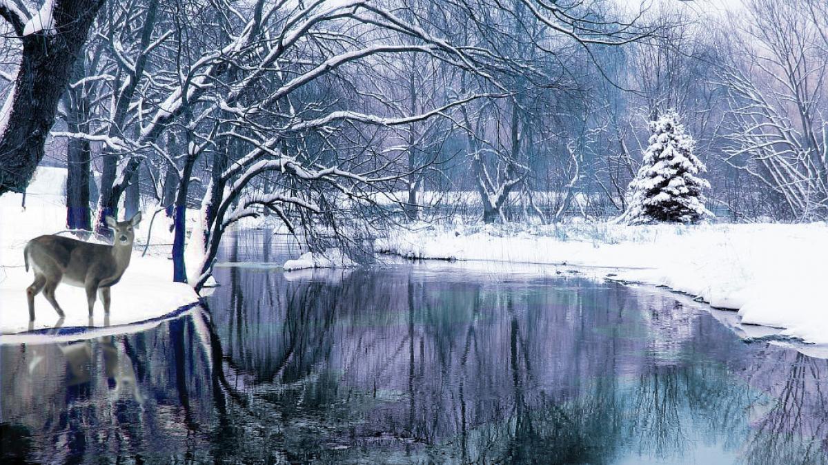 cum arata asta la microscop e uimitor sa vezi ca sunt unici natura e cel mai iscusit creator