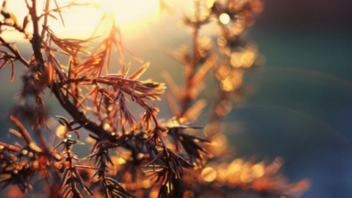 luna de iarna cu temperaturi de primavara vezi prognoza meteo pentru aceasta saptamana