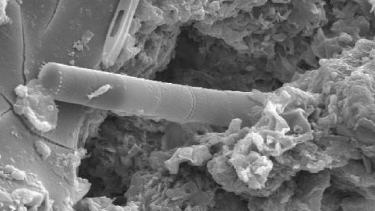 descoperire incredibila facuta de un cercetator britanic extraterestrii exista