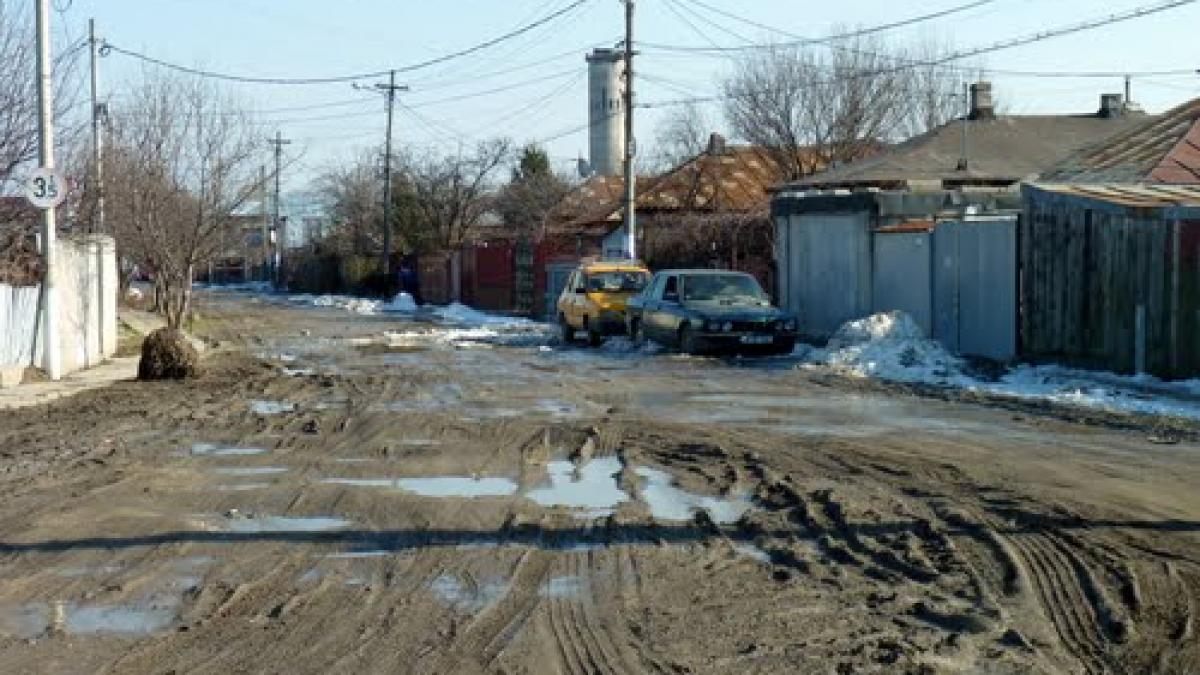 capitala europeana bucuresti ar trebui transformata in rezervatie naturala sectorul 5 este o