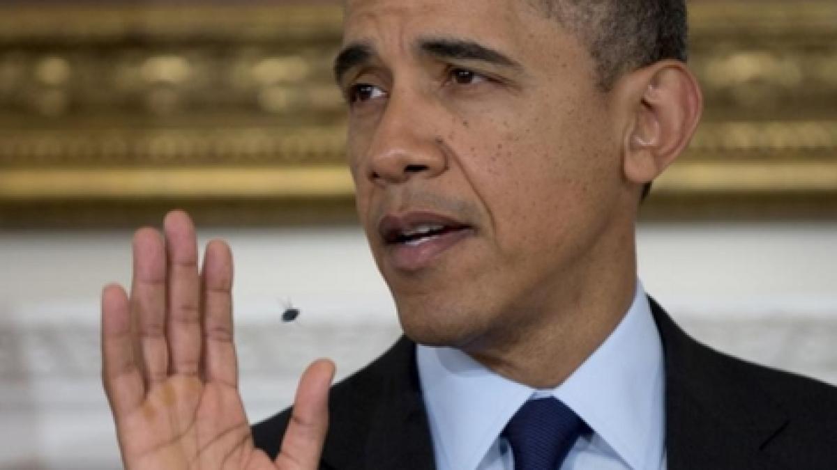 barack obama atacat din nou de o musca in timpul unui discurs