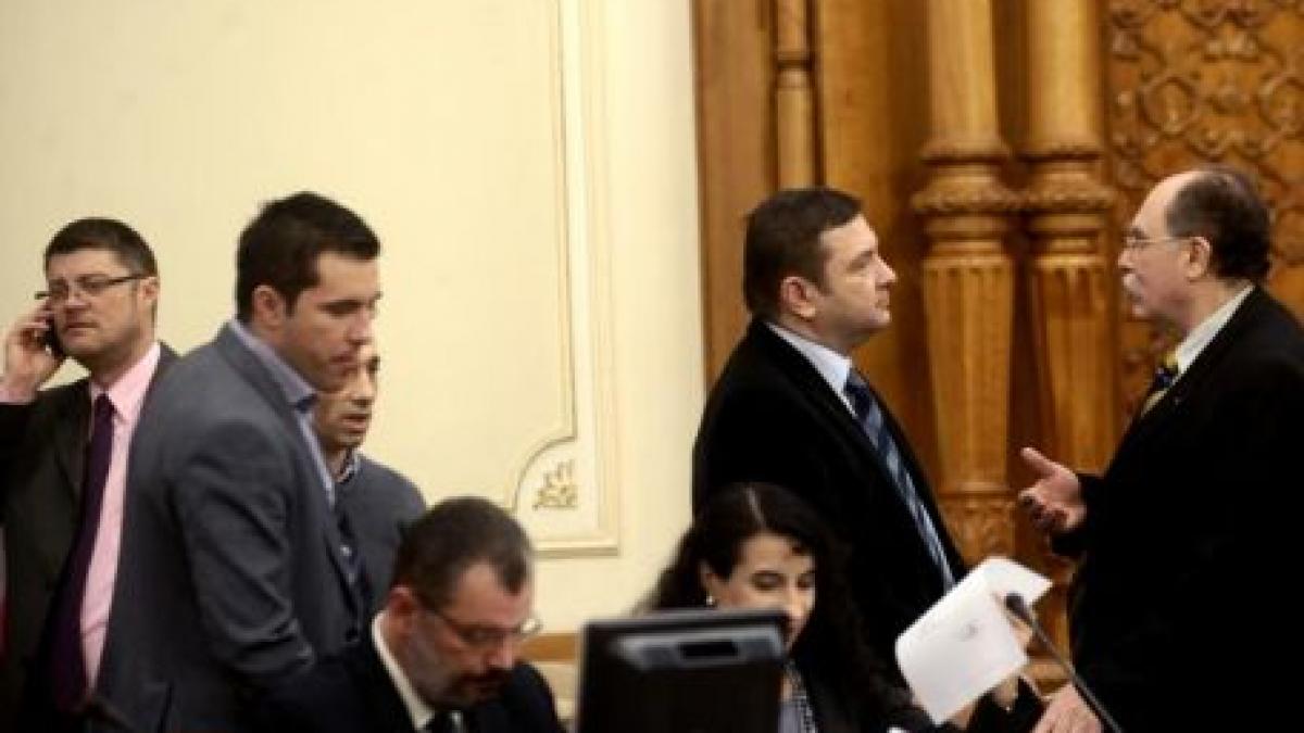 Mihai Stănişoară: PDL are peste 10.000 de amendamente la legea bugetului de stat şi îşi propune să le susţină pe toate