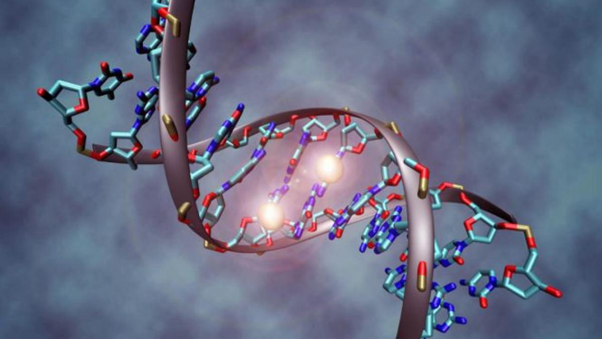 stiinta bate cancerul tumorile maligne nu vor mai insemna o condamnare la moarte