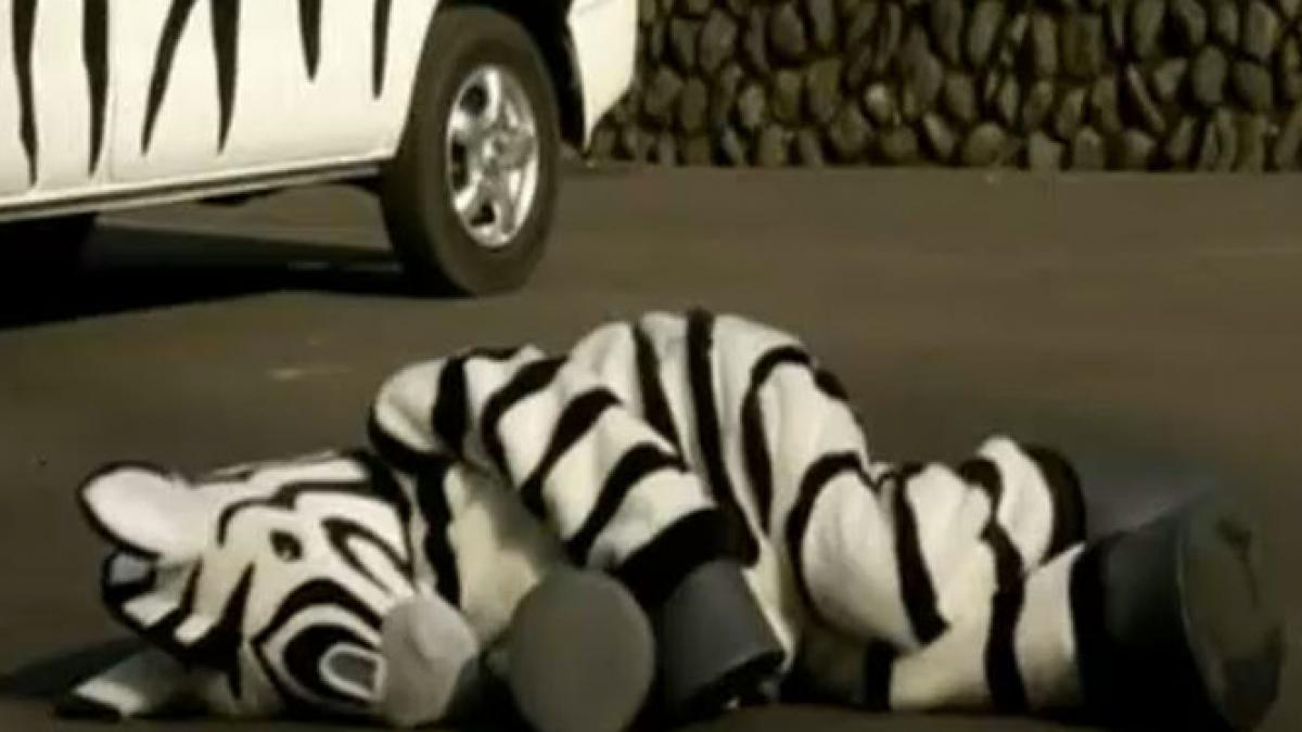 operatiune inedita la o gradina zoologica din tokyo vezi cum si au exercitat autoritatile tehnica