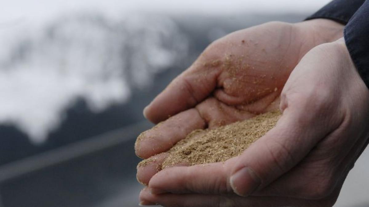 o berarie din alaska ar putea economisi 450 000 de dolari pe energie cu ajutorul berii