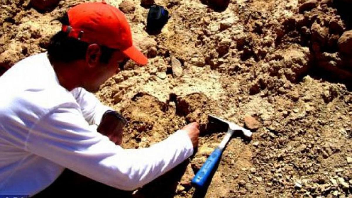 lumea cercetatorilor este cu ochii pe romania descoperirea din transilvania care dateaza de acum 68