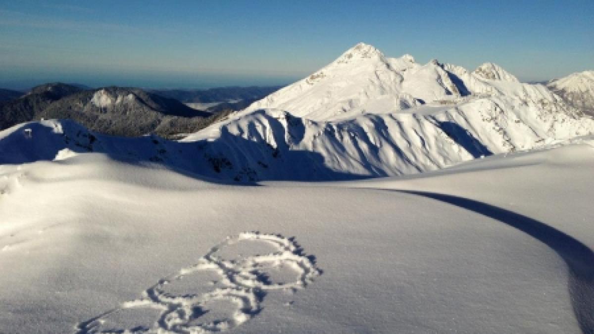 biletele pentru jo 2014 au fost puse in vanzare preturile sunt intre 12 si 1 250 de euro