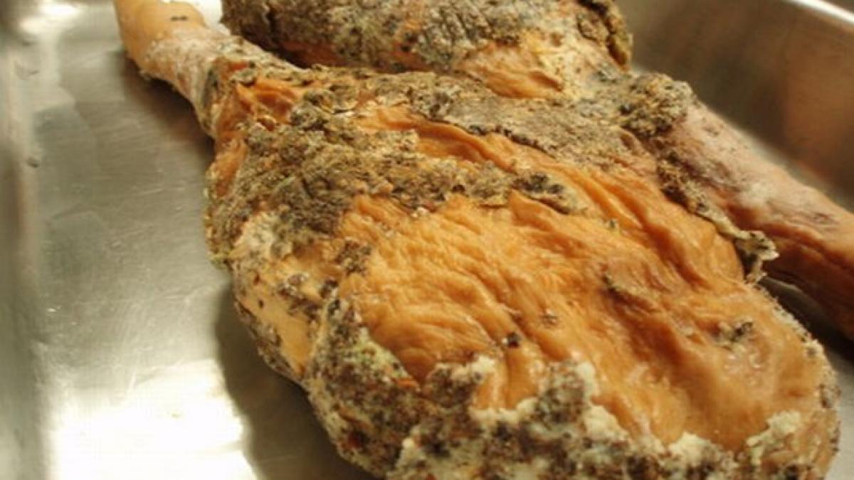 mizerie de cinci stele la un hotel de lux din poiana brasov elena udrea si gigi becali printre