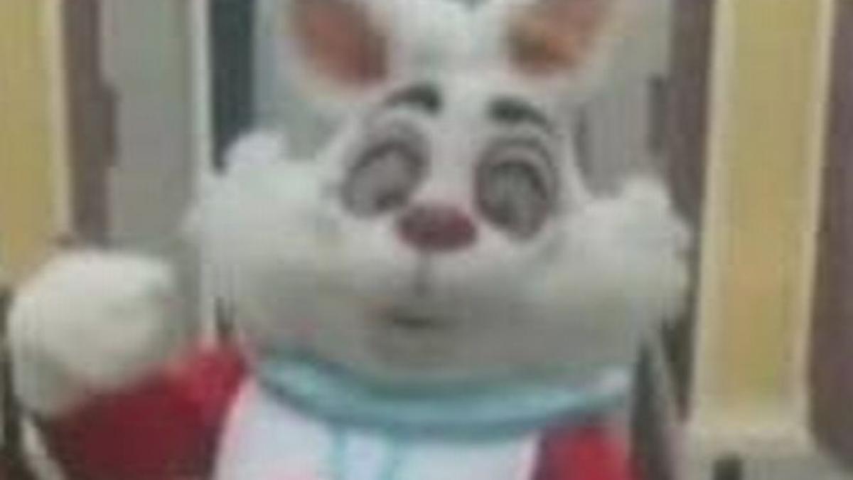 copilul meu s a simtit oribil cum a ajuns un iepure de la disneyland sa fie acuzat de rasism