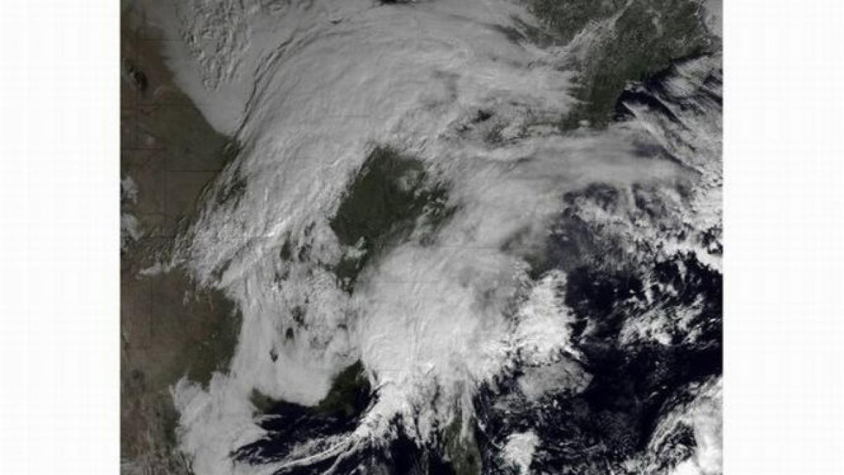 urgia alba se pregateste sa loveasca ne statelor unite ale americii