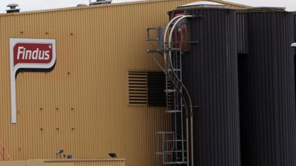 afp scandalul carnii de cal din lasagna are o dimensiune europeana