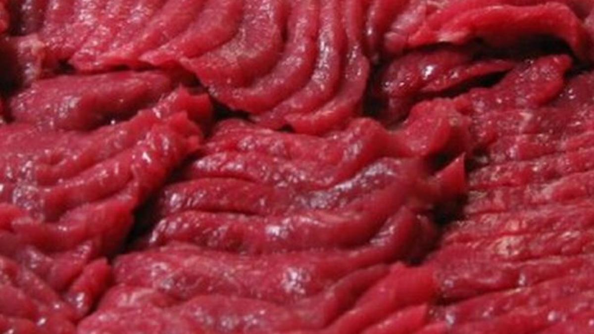 legea din romania care ar fi de vina pentru vanzarea frauduloasa de carne de cal ce ipoteza socanta