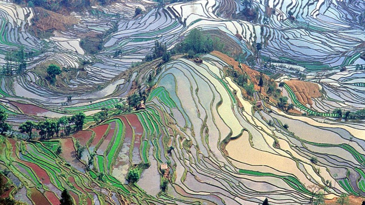 nu iti vei da seama niciodata ce reprezinta aceste imagini nimeni nu o poate face