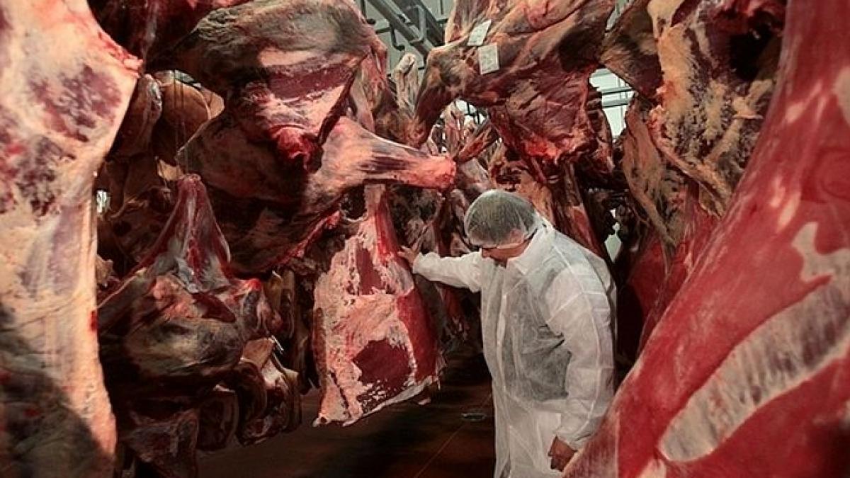 scandalul carnii de cal ia amploare francezii vor sanctiuni foarte dure britanicii spun ca in