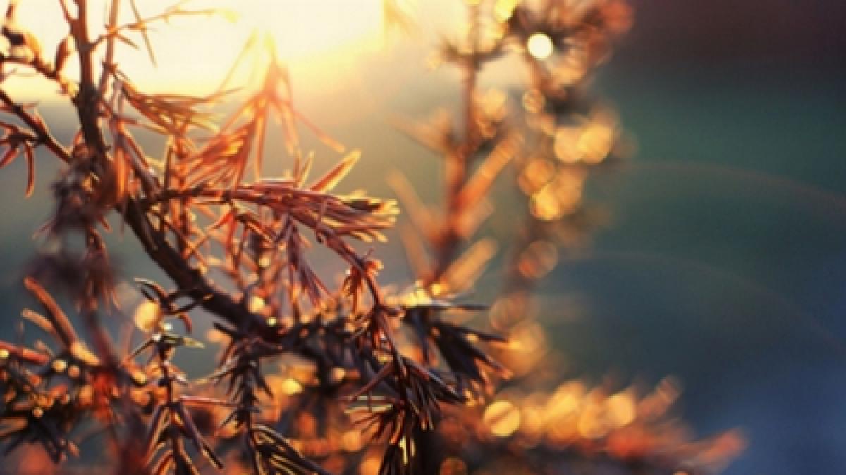 vesti bune de la meteorologi vremea se va ameliora sub aspectul precipitatiilor