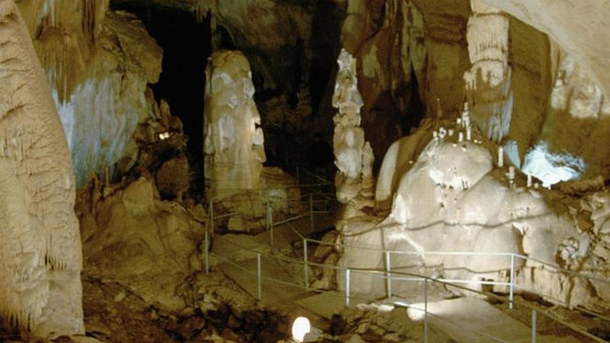 craniul unui bizon vechi de 50 000 de ani a fost descoperit in crimeea