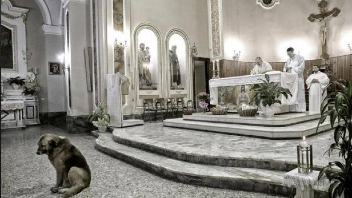 povestea din spatele acestei imagini a inlacrimat o tara intreaga a murit de dorul ei