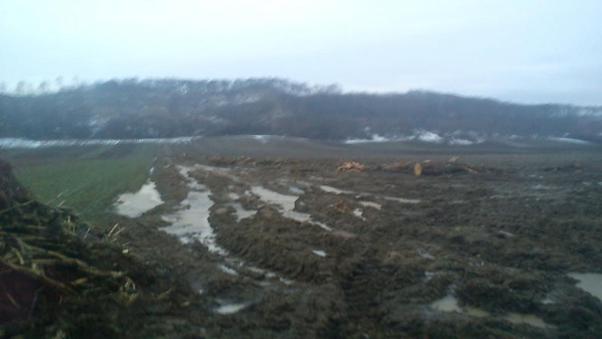 padurile au fost pur si simplu sterse iar pamantul o ia la vale peste casele oamenilor dezastrul la
