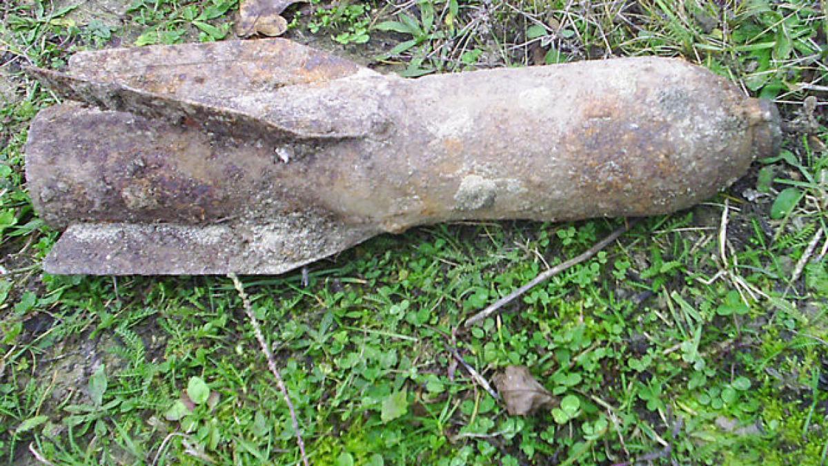 a fost la un pas sa arunce casa in aer voia sa puna o bomba pe foc pentru ca o confundase cu un